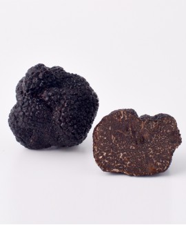 Tartufo Nero Pregiato di Norcia (Tuber Melanosporum Vitt.) Fresco Salvo disponibiltà